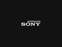 Cara Memilih Kamera Mirrorless Sony Terbaik Yang Sesuai Kebutuhan