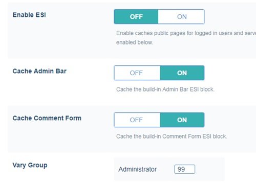 Cara Setting Plugin LiteSpeed Cache 19