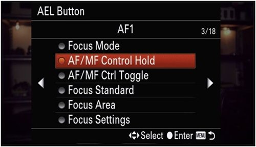 Cara Memilih Kamera Mirrorless Sony Terbaik 2