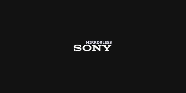 Cara Memilih Kamera Mirrorless Sony Terbaik Yang Sesuai Kebutuhan