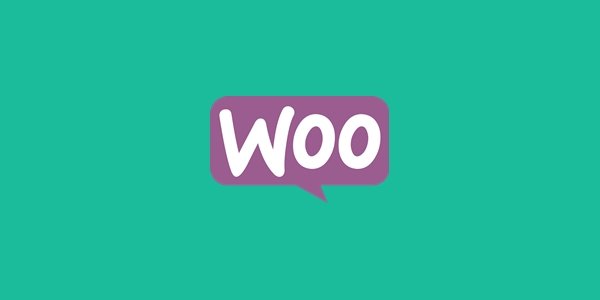 Plugin Yang Cocok Untuk WooCommerce